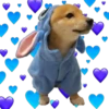 Perritos 23