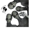 Alien frases 19