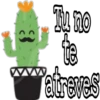 Cactus LOVERS 22