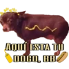 Perritos 25