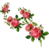 Flores 2 22