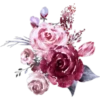 Flores 2 25