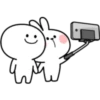 Rabbit 22