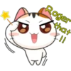 Funny Cats 2 23