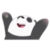 Panda 1 13