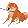 Dogs 24