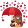 Dogs 25