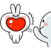 Rabbit 24