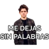 МE DEJAS
SIN PALABRAS