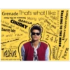 Bruno Mars 23
