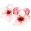 Flores 2 28