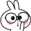 Rabbit 26