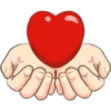 Señales de amor 25