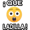 ¡ QUE
LADILLA!