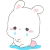 Happy Bunny 3 27
