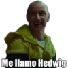 @Mriansol
Me llamo Hedwig