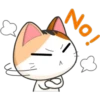 Funny Cats 2 27