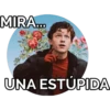 MIRA.
UNA ESTÚPIDA