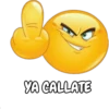 emoji furioso 23