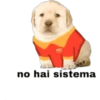perritos 20