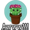 Cactus LOVERS 24