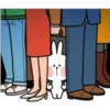 Rabbit 27