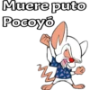 Muere puto Pocoyo