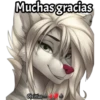 Muchas gracias
Christian
