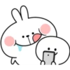 Rabbit 28