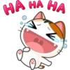Funny Cats 2 28