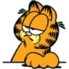 Garfield 28