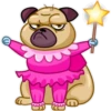 Dogs 29