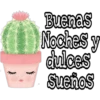 Cactus LOVERS 26