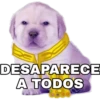 DESAPARECE
A TODOS