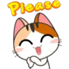 Funny Cats 2 29