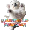 Perritos 29