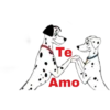 Dalmatas 11