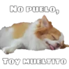 Perritos 30