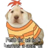perritos 21