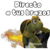 Directo
a tus brazos
@adolfoojose