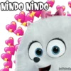 NINDO NINDO
haddderbonilla