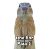 Una flor
Para ti