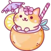 Cats Foods 5