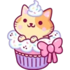 Cats Foods 6