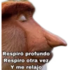 Respiró profundo
Respiro otra vez
Y me relajo