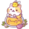 Cats Foods 7