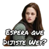 Crepusculo Saga 8
