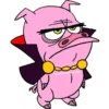 Stewondernicole