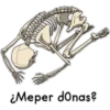 Bob ergas 5
