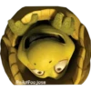 Cadolfoojose